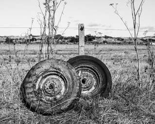 Discarded wheels on the East Coast Road, Whakatiwai